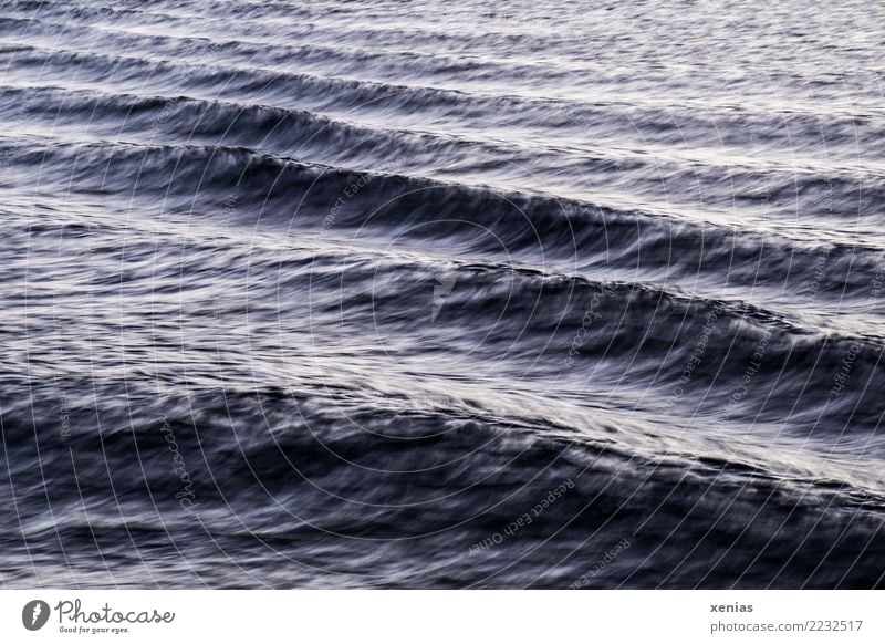 Sanfte Wellen Meer Urelemente Wasser Wind Nordsee Ostsee See Erholung schaukeln Schwimmen & Baden dunkel kalt weich blau weiß Bewegung Natur maritim