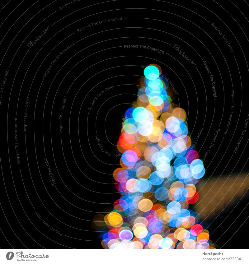 Allüberall auf den Tannenspitzen... Baum blau mehrfarbig schwarz Stimmung Vorfreude Warmherzigkeit Frieden Weihnachtsbaum Lichterkette Unschärfe
