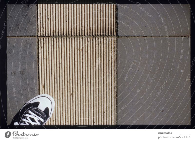 betreten Sommer Turnschuh Mensch Fuß Bahnsteig Bekleidung Schuhe Zeichen Schilder & Markierungen trendy modern einzigartig stagnierend Farbfoto Morgen