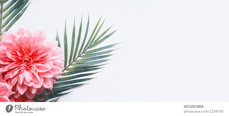 Tropische Palmenblätter mit rosa Blumen Stil Design Sommer Pflanze Blatt Blüte Dekoration & Verzierung Fahne grün weiß Hintergrundbild Entwurf tropisch