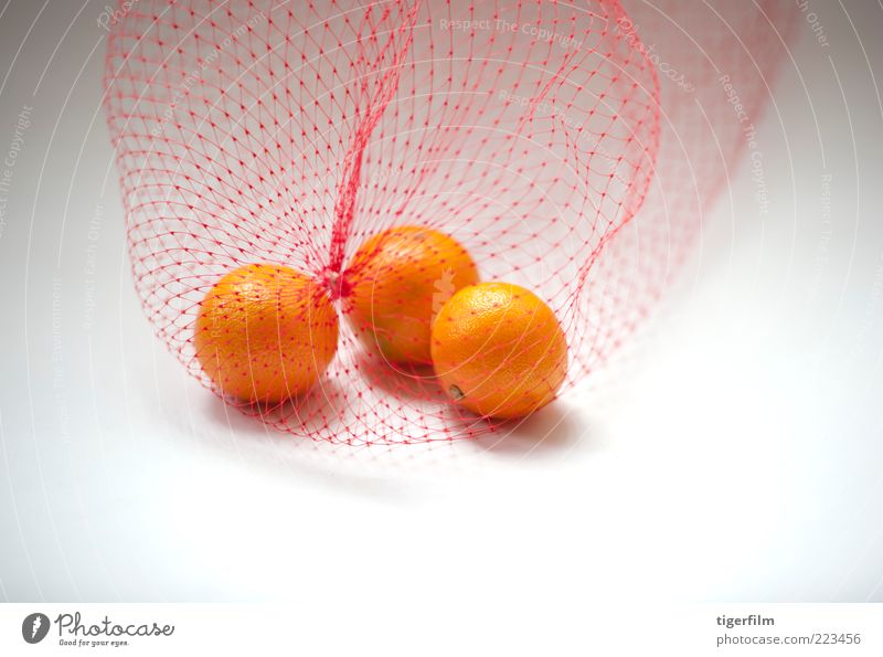 Mandarinenorangen weiß Frucht Tasche Plastiktüte Nylon Kunststoff Netzstrümpfe drei 3 Lebensmittel Snack Stillleben einfach