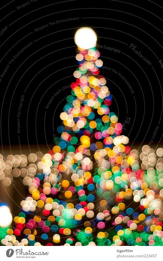 Weihnachtsbaum in der Nacht Weihnachten & Advent leuchten erhellenden bestrahlen mehrfarbig abstrakt Strukturen & Formen Nachthimmel dunkel Abend Lampe Farbe