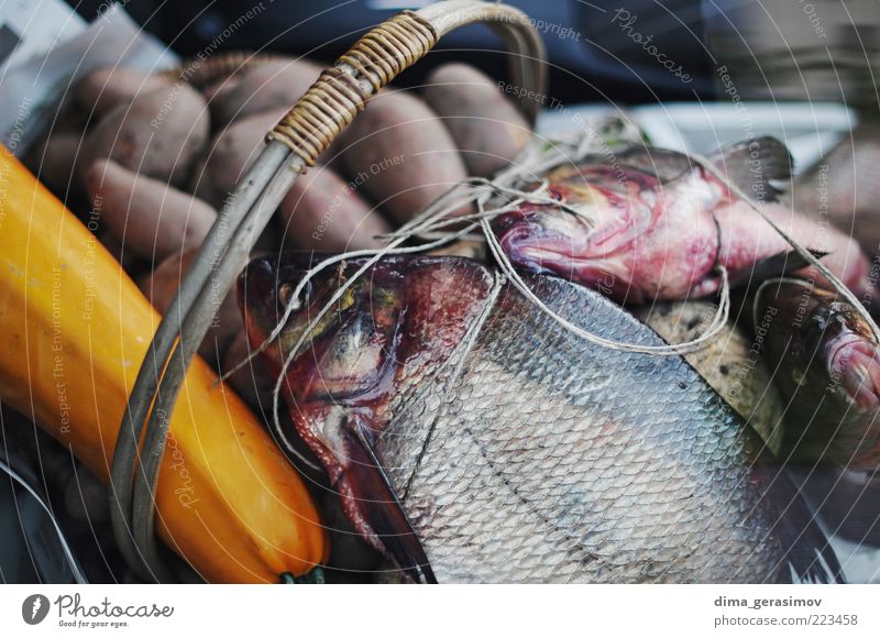 Etwas Fisch zum Abendessen. Lebensmittel Meeresfrüchte Mittagessen Tier Wildtier Totes Tier Tiergruppe blau braun mehrfarbig schwarz silber weiß Natur Farbfoto