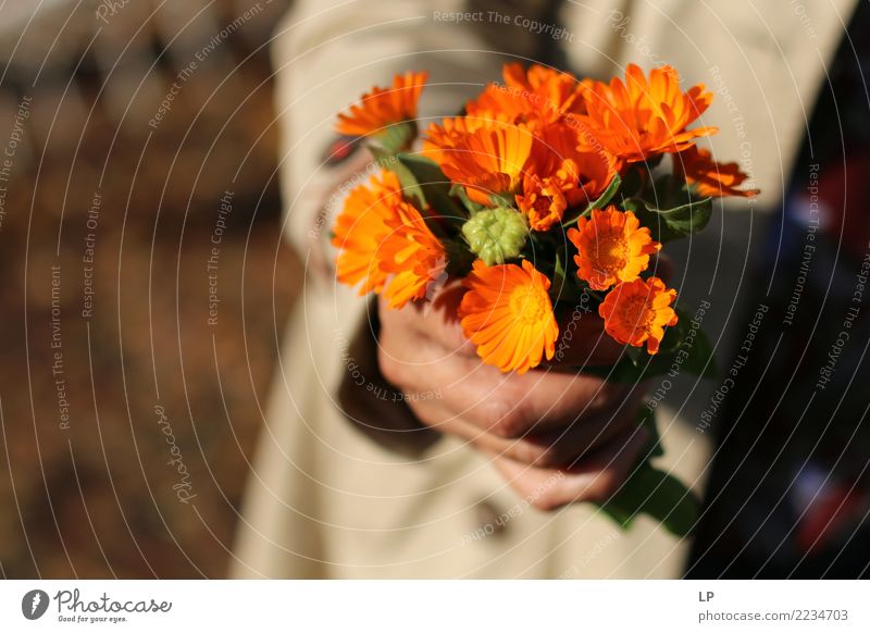 Ringelblumen-Bouquet Lifestyle Stil Freude Behandlung Wellness Leben harmonisch Wohlgefühl Zufriedenheit Sinnesorgane Feste & Feiern Muttertag Frühling Sommer