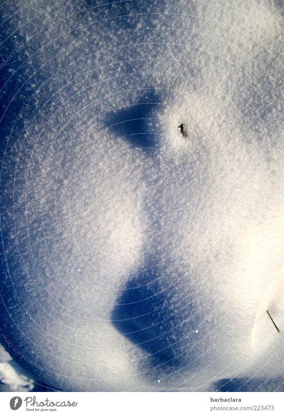 Anatomie einer Schneefrau Natur Winter Eis Frost Gras Hügel frieren glänzend liegen hell kalt blau weiß Klima skurril Surrealismus Vergänglichkeit Außenaufnahme
