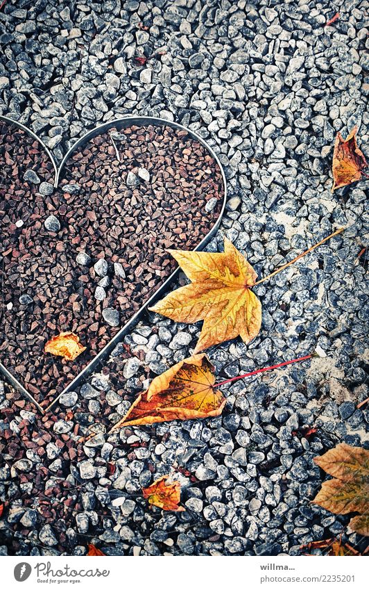 Herz aus Stein - vom Lieben und Lassen Steine Kies Herbst Herbstlaub herbstlich Ahornblatt Blätter herzlich Valentinstag Muttertag Verliebtheit herzförmig