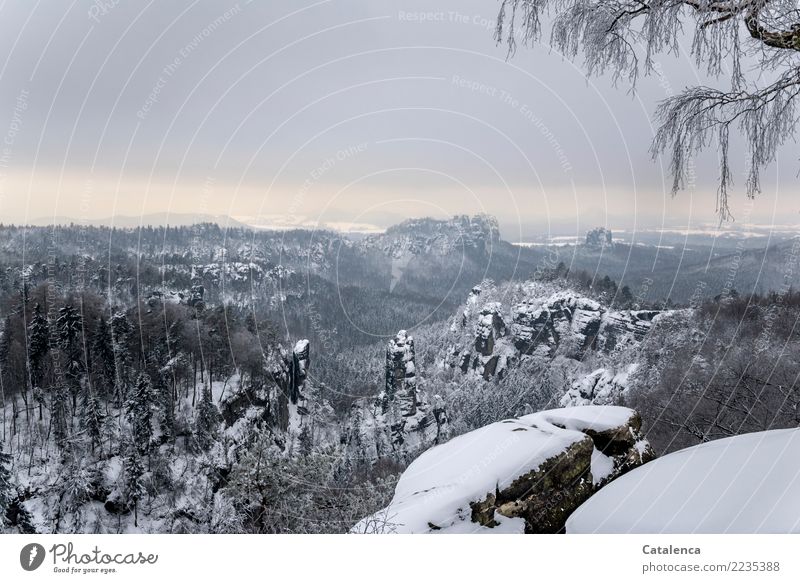 Verschneit Winterurlaub wandern Natur Landschaft Himmel Wolken Eis Frost Schnee Baum Birke Fichte Tanne Berge u. Gebirge Schlucht Naturschutzgebiet beobachten