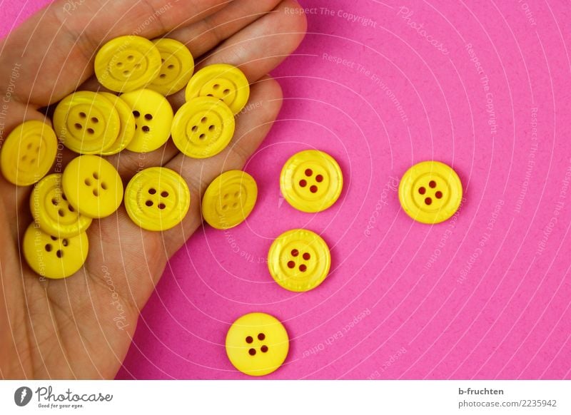 Gelbe Knöpfe Mann Erwachsene Hand Finger Kunststoff berühren festhalten gelb rosa Freude Gerechtigkeit Überraschung Genauigkeit Inspiration zählen mehrheit
