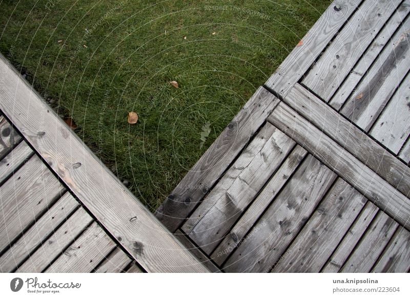 V Umwelt Gras Terrasse eckig grün Holz Steg Rasen Geometrie Linie Schneidebrett Bodenbelag Wiese Textfreiraum Tag Farbfoto Gedeckte Farben Außenaufnahme