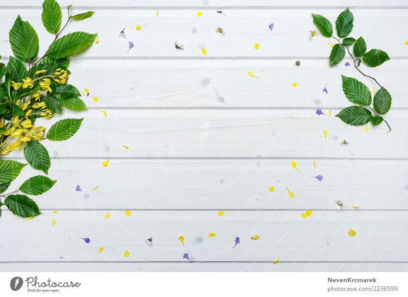 Weiße Tischplatte mit Frühlingsblumen und grünen Blättern Schreibtisch Natur Sommer Pflanze Blume Blatt Grünpflanze Holz ästhetisch authentisch einfach elegant