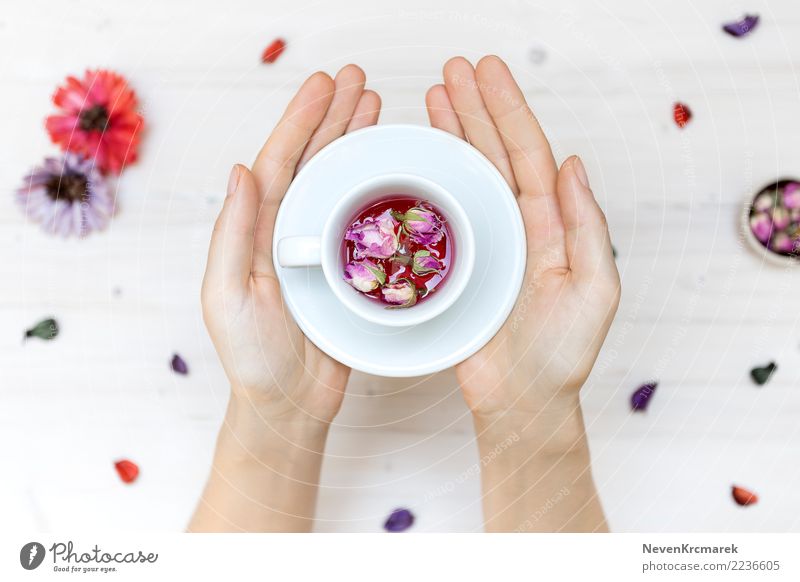Weibliche Hände, die eine Platte und eine Schale mit rosafarbenen Blumen halten Tee Becher Pflanze Holz Tatkraft Leben Hand Rosenblätter Tischplatte Teetasse