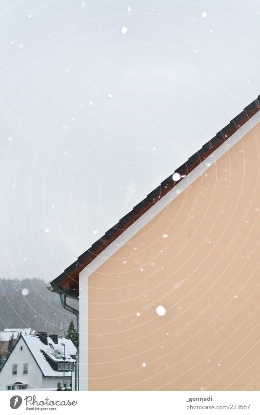 Leise rieselt der Schnee Umwelt Wetter schlechtes Wetter Eis Frost Schneefall Kleinstadt Haus Einfamilienhaus Mauer Wand Fassade Dach Dachrinne frieren glänzend