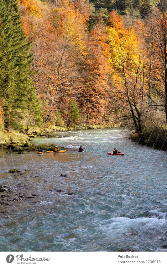 #S# Kajak Wandern II Wassersport Schwimmen & Baden Alpen wandern Natur Wildwasser Wald Herbst gelb orange Sport Extremsport Menschengruppe Paddeln Leidenschaft