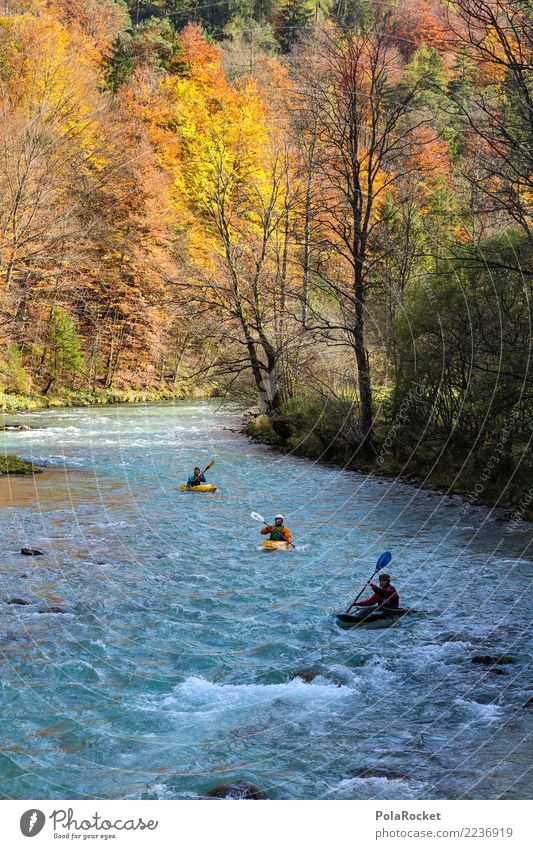 #S# Kajak Wandern III Wassersport Schwimmen & Baden Alpen wandern Natur Wildwasser Wald Fluss Herbst gelb orange Sport Extremsport Menschengruppe Paddeln
