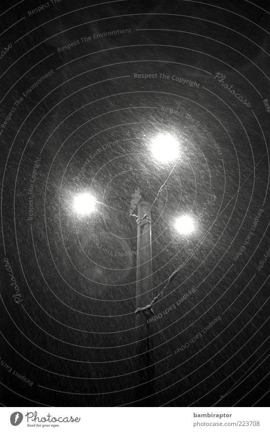 City Lights Lampe Winter Wetter schlechtes Wetter Regen Schnee Schneefall frieren kalt nass Straßenbeleuchtung Mast Licht Schwarzweißfoto Außenaufnahme