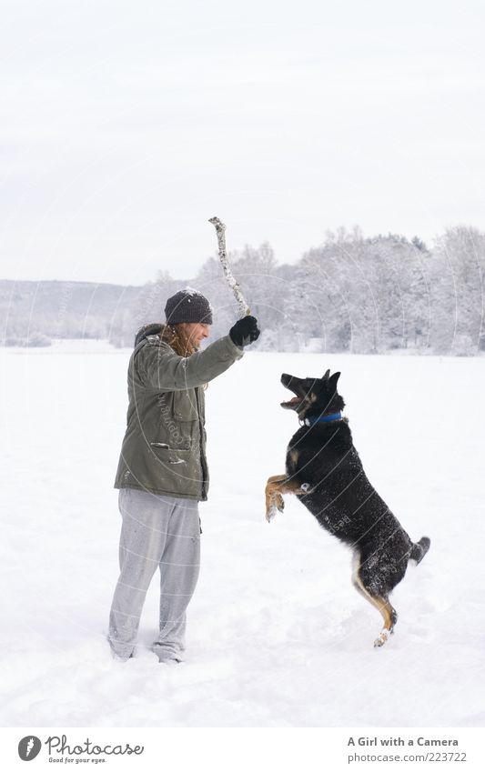klonk! maskulin Mann Erwachsene 1 Mensch 30-45 Jahre Umwelt Natur Landschaft Winter Schnee Wiese Tier Haustier Hund Spielen springen toben werfen schwarz weiß