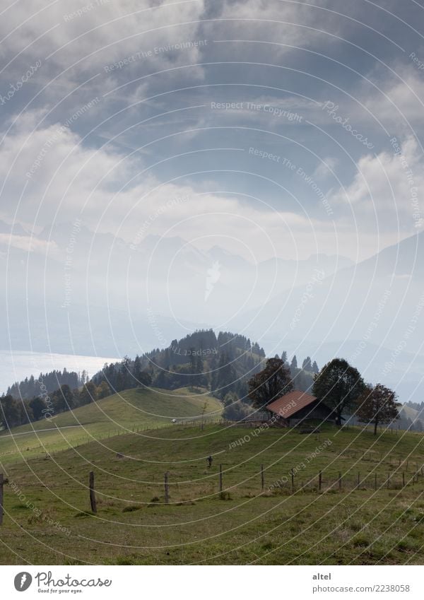 Berner Oberland #1 Mensch Kind Kindheit Natur Landschaft Tier Wolken Horizont Herbst Wiese Alpen Berge u. Gebirge Schweiz Hütte Erholung wandern Stimmung Glück