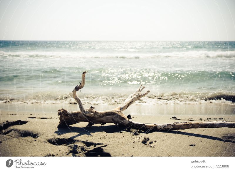 Traumstrand Ferien & Urlaub & Reisen Sommer Sommerurlaub Strand Meer Wellen hell Fernweh Horizont einzigartig Natur Perspektive Kreta Freiheit Einsamkeit Küste