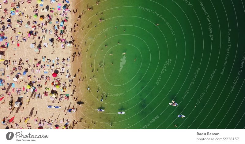 Luftaufnahme von Menschen, die Spaß am Strand haben. Lifestyle Wellness Erholung Schwimmen & Baden Ferien & Urlaub & Reisen Tourismus Abenteuer Freiheit Sommer