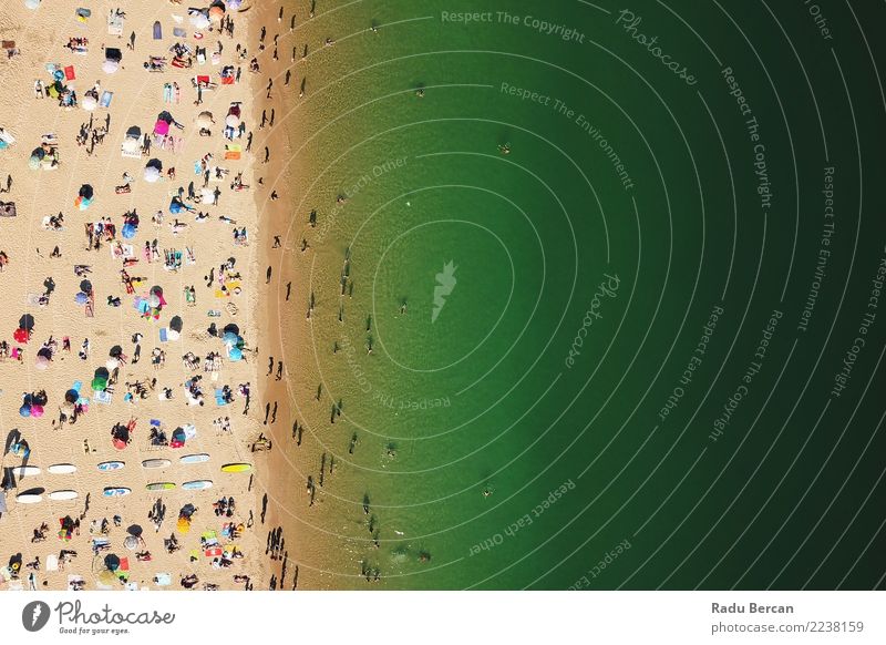 Luftaufnahme von Menschen, die Spaß am Portugal Beach haben. Lifestyle Wellness Schwimmen & Baden Ferien & Urlaub & Reisen Tourismus Abenteuer Freiheit Sommer