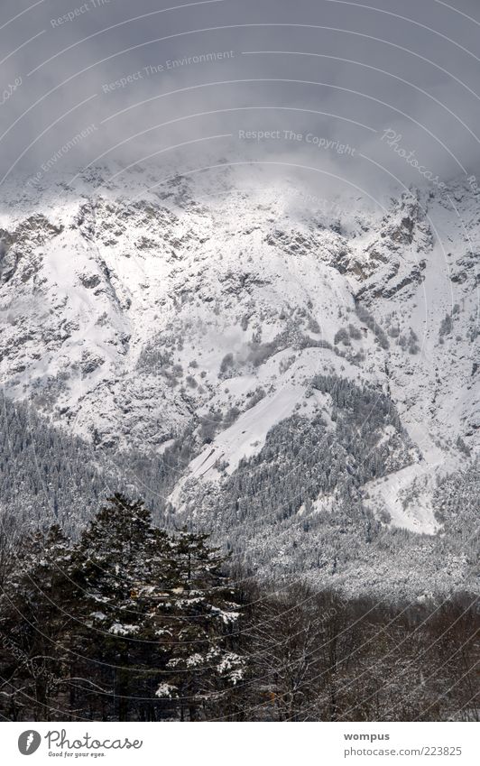 Blick aus meinem Küchenfenster Umwelt Natur Landschaft Nebel Hügel Felsen Alpen Berge u. Gebirge braun grau weiß Farbfoto Außenaufnahme Tag Panorama (Aussicht)