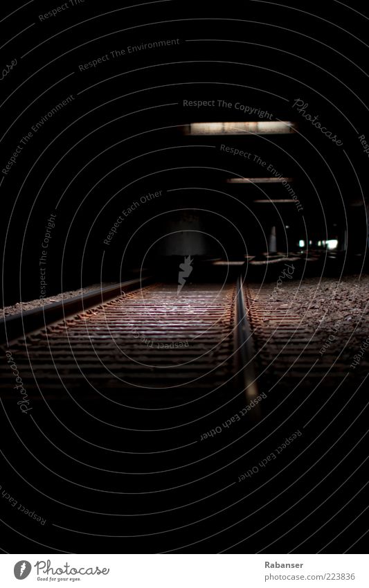 Freedom Tunnel Mauer Wand Verkehr Bahnfahren Gleise alt dreckig dunkel groß gruselig trocken braun schwarz Stein Eisen Untergrund Manhattan USA Licht Schatten