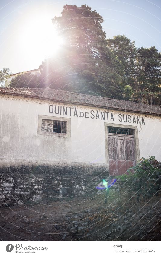 Quinta de Santa Susana Sommer Dorf Haus Hütte Mauer Wand Fassade alt Armut quinta Weingut Urlaubsfoto Farbfoto Außenaufnahme Menschenleer Tag Sonnenlicht