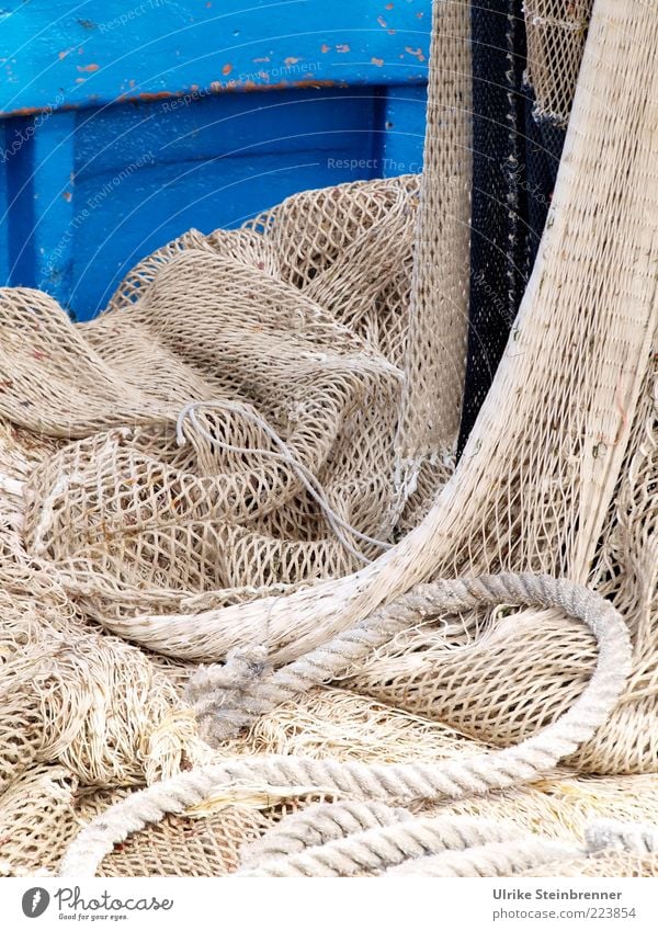 Hängendes Fischernetz auf blauem Holzboot Arbeit & Erwerbstätigkeit Fischereiwirtschaft Fischerboot Schifffahrt Wasserfahrzeug Seil hängen liegen fest Bordwand