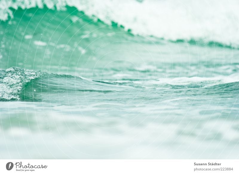 Ostsee Wellen Wellengang Schaum grün Oberfläche Tsunami Farbfoto Außenaufnahme Nahaufnahme abstrakt Strukturen & Formen Textfreiraum oben Licht