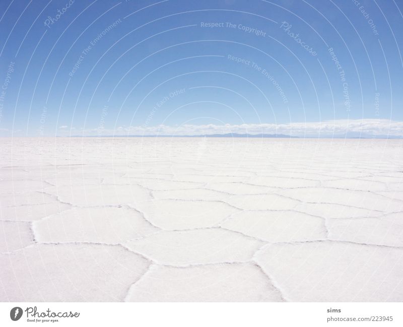 Salar de Uyuni Natur Landschaft Himmel Wolkenloser Himmel Salzsee Wüste Salzwüste Bolivien Südamerika Ferien & Urlaub & Reisen blau weiß Stimmung einzigartig