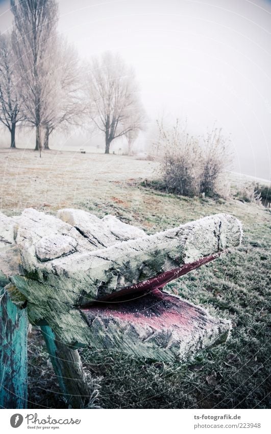 Eismonster Umwelt Natur Urelemente Winter Nebel Pflanze Baum Wiese kalt grün Raureif Holzfigur Spielplatz Krokodil Monster Schnauze Maul Tierfigur schnappen