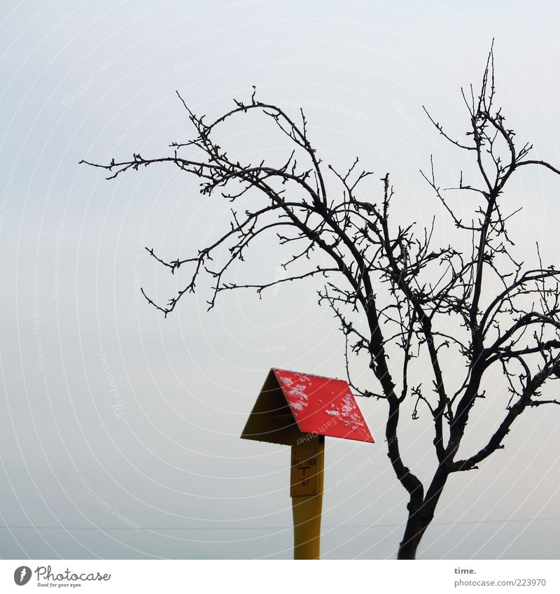 Rotkäppchen (Lemgo Version) Winter Pflanze Baum Metall Schilder & Markierungen gelb rot beweglich kahl Schutzdach Hinweis Erdgas Ast bewegungslos Dynamik