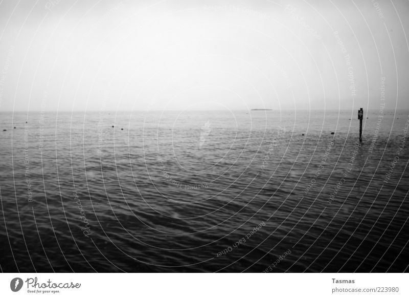 Oceans & Streams Wasser schlechtes Wetter Unwetter Nebel Wellen See Zürich See Sehnsucht Heimweh Fernweh kalt ruhig Schwarzweißfoto Außenaufnahme Menschenleer