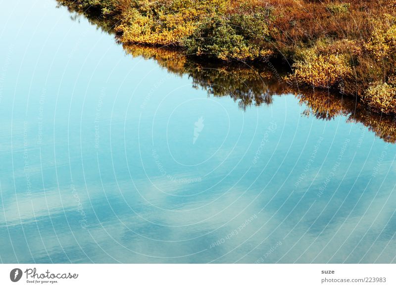 Ufer ruhig Umwelt Natur Pflanze Wasser Himmel Sträucher Moos Seeufer blau Ecke Wasseroberfläche Farbfoto mehrfarbig Außenaufnahme Menschenleer