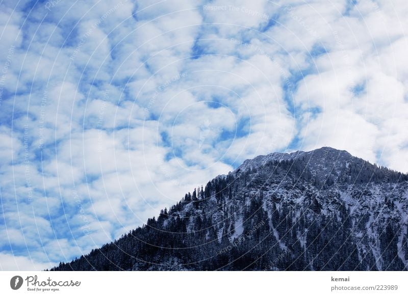 Berg und Wolken Umwelt Natur Landschaft Pflanze Himmel Winter Eis Frost Schnee Baum Wildpflanze Hügel Felsen Alpen Berge u. Gebirge Gipfel kalt Winterlicht Wald