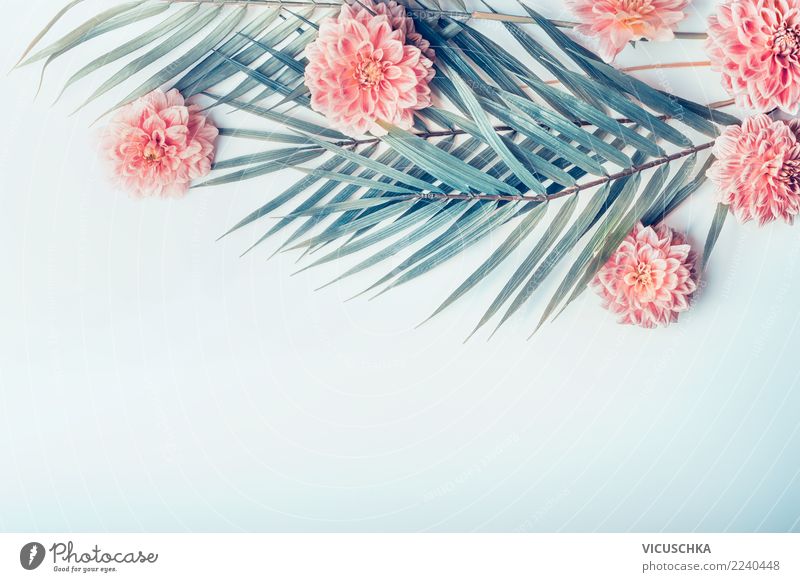 Palmenblätter und tropische Blumen Stil Design exotisch Freizeit & Hobby Ferien & Urlaub & Reisen Sommer Natur Pflanze Farn Blatt Blüte Oase