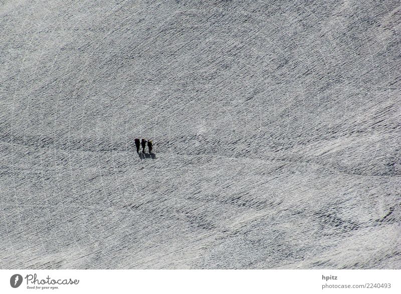 Alleine in weiß Landschaft Urelemente Winter Eis Frost Schnee Berge u. Gebirge Gletscher Fußspur Zusammensein kalt Tatkraft Leidenschaft schön Solidarität