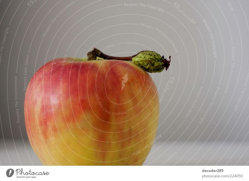 Apfel mit Blatt Lebensmittel Vegetarische Ernährung Pflanze Nutzpflanze Farbfoto Innenaufnahme Studioaufnahme Menschenleer Textfreiraum rechts