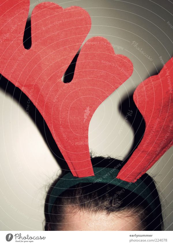 Das Weihnachtsmonster Feste & Feiern Karneval Mensch Kopf Haare & Frisuren 1 Karnevalskostüm verkleidet Rentier rot Horn Hirsche lustig Farbfoto Gedeckte Farben