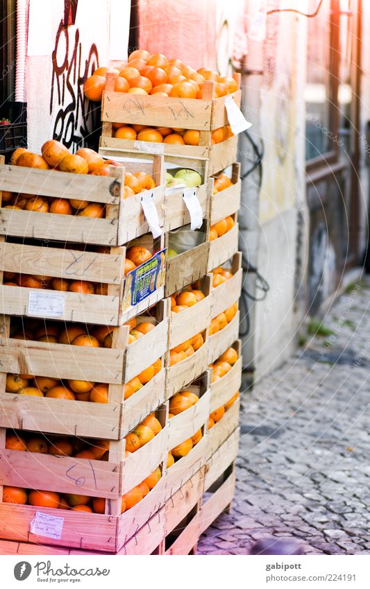 Apfelsinen für den Weihnachtsteller Lebensmittel Frucht Orange Ernährung saftig Konkurrenz Kiste Einkaufsmarkt fruchtig lecker mehrfarbig Menschenleer Tag Licht