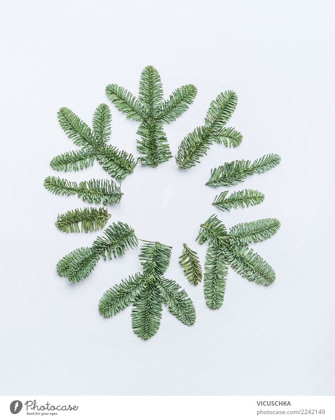 Schneeflocke gemacht mit Tannenzweigen auf weiß Stil Design Winter Feste & Feiern Weihnachten & Advent Natur Dekoration & Verzierung Zeichen Ornament