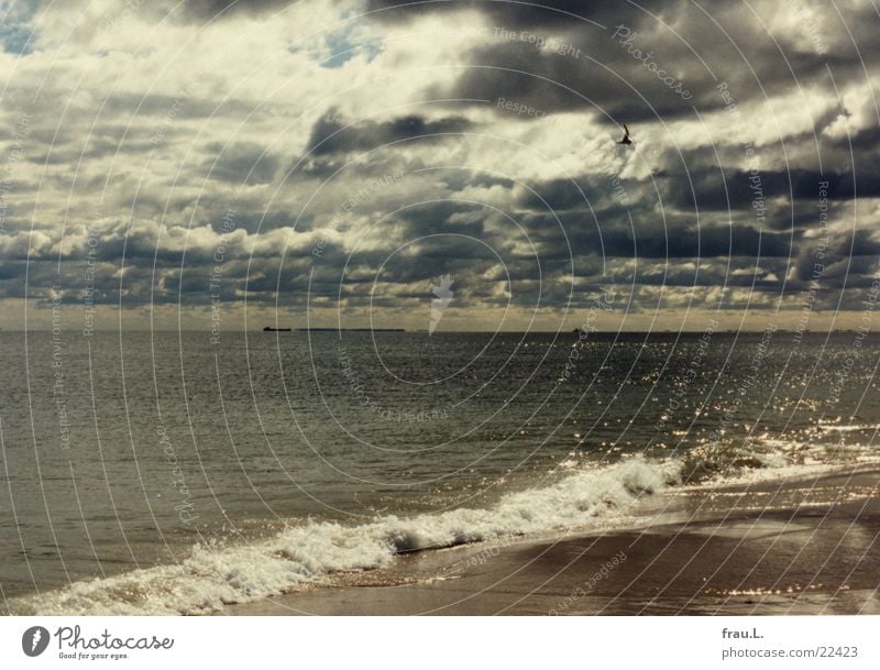 Skagen Strand Meer Sommer dramatisch Wolken Wellen Küste Regenwolken Nordsee Dänemark Sand möve
