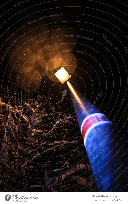 Nächtliche Winterromantik Pflanze Baum schwarz Perspektive Lampe Laterne Straßenbeleuchtung leuchten glänzend Kreis Weitwinkel Schneefall Schneeflocke schön