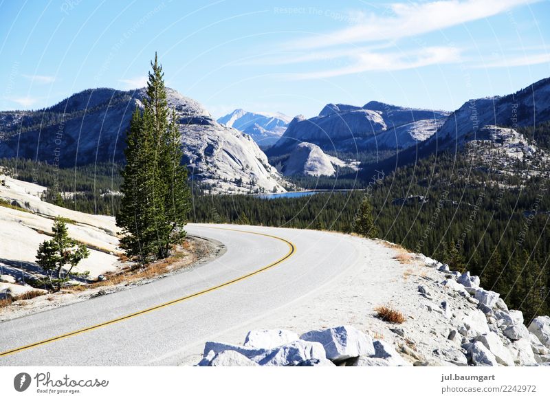 USA Yosemite National Park Lifestyle Freizeit & Hobby Ferien & Urlaub & Reisen Abenteuer Ferne Sommer Berge u. Gebirge wandern Umwelt Natur Landschaft Klima