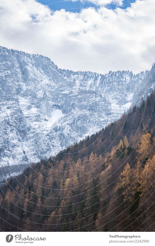 Herbstwald und schneebedeckte Berge Schnee Umwelt Landschaft außergewöhnlich alpine Landschaft Wechsel Österreich Alpen Österreichische Berge Mischung
