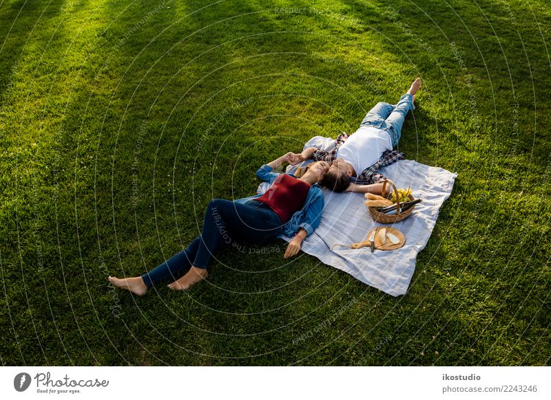 Junges Paar macht ein Picknick Käse Brot Lifestyle Glück schön Erholung Freizeit & Hobby Sommer Flirten Frau Erwachsene Mann Familie & Verwandtschaft Natur Gras