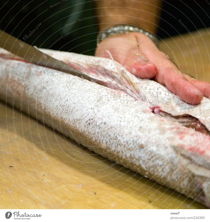 es gibt Fisch Lebensmittel Ernährung Messer Hand Finger Arbeit & Erwerbstätigkeit gebrauchen machen authentisch dunkel einfach nass achtsam Wahrheit Erwartung