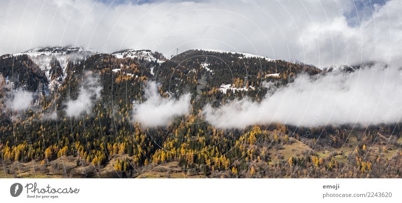 wolkig Umwelt Natur Landschaft Wolken Herbst Wald Hügel Berge u. Gebirge natürlich Tourismus Kanton Wallis Schweiz Farbfoto Außenaufnahme Menschenleer Tag