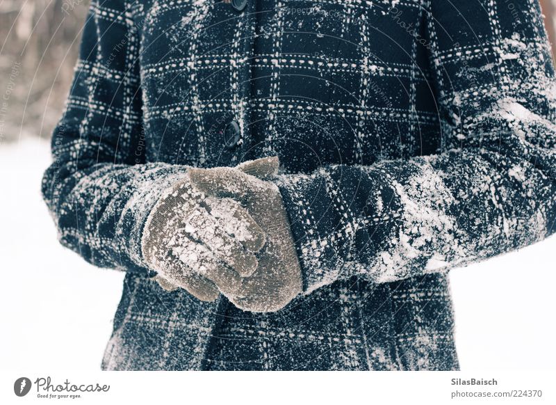 Eingeschneit Winter Schnee Mantel Handschuhe Spielen frech Begeisterung Schneeballschlacht Schneelandschaft Farbfoto Textfreiraum oben Vorderansicht Jacke kalt