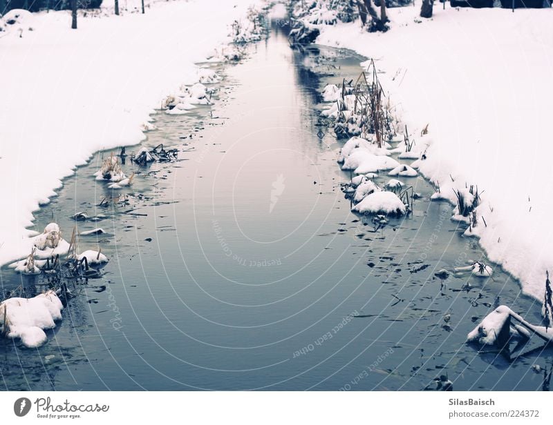 Überm großen Teich Freiheit Winter Schnee Winterurlaub Umwelt Natur Landschaft Wasser Eis Frost Flussufer Bach blau weiß Stimmung Hoffnung kalt ruhig Küste